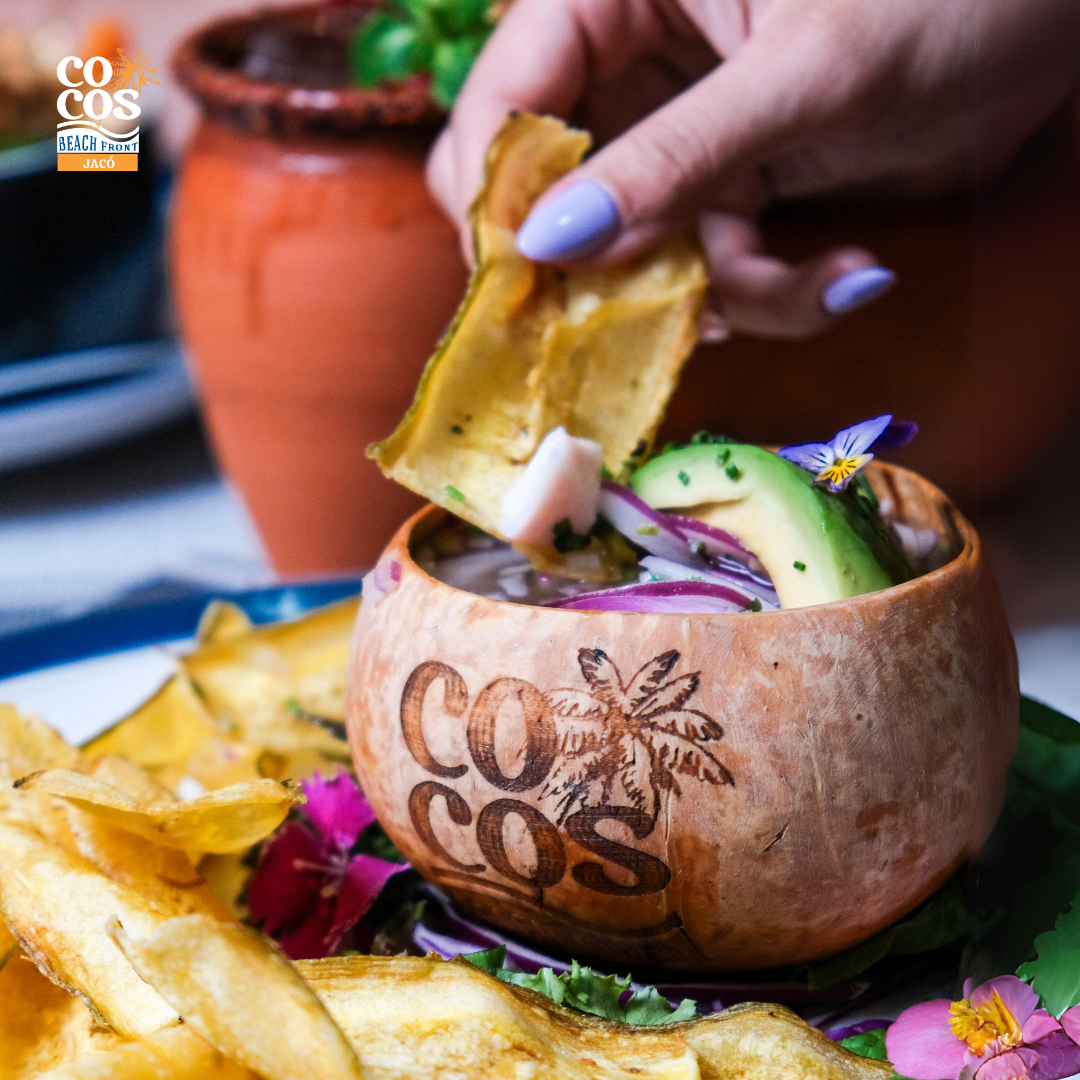 Cocos Bowl signature en coco natural con chips artesanales