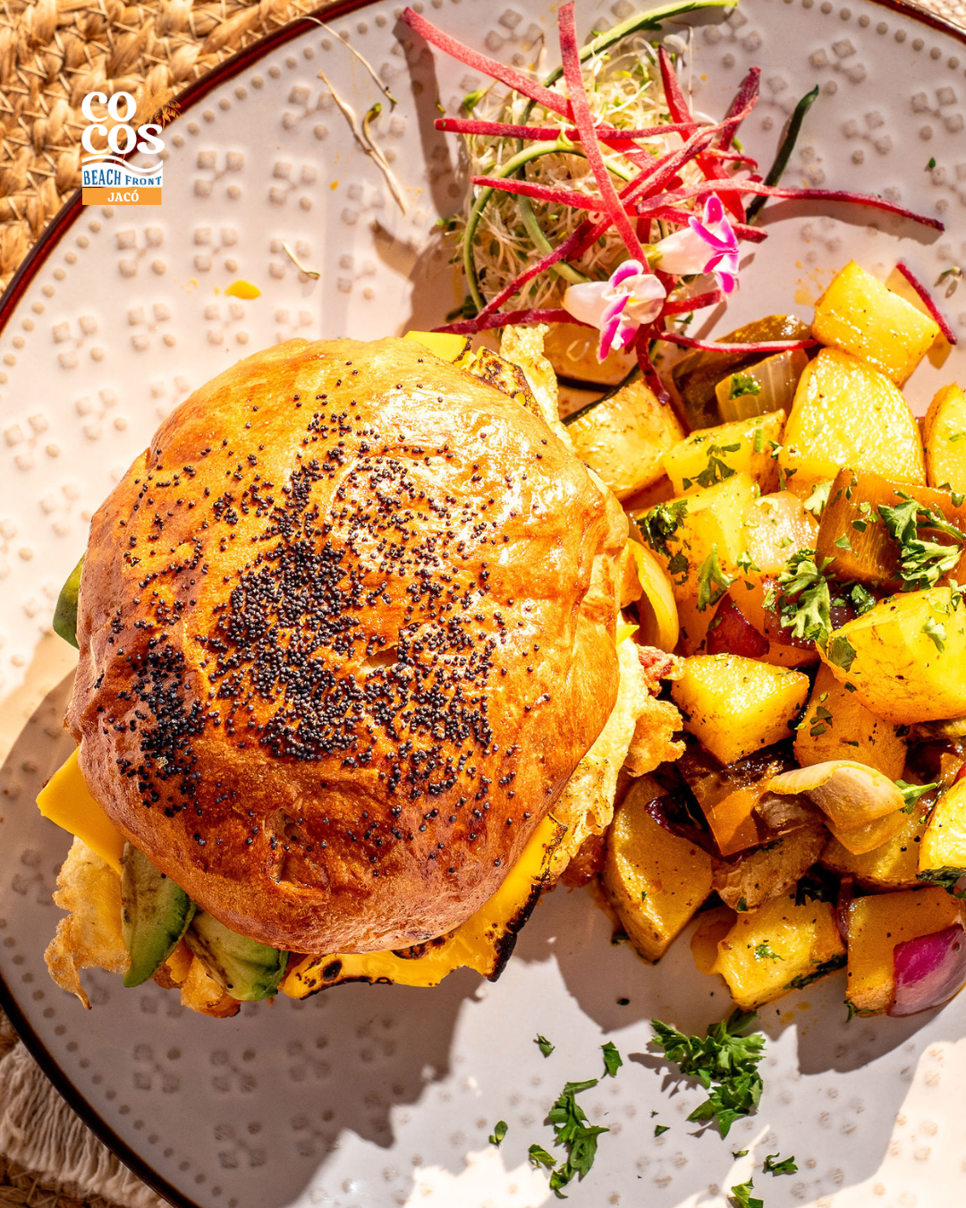 Sándwich gourmet con papas asadas